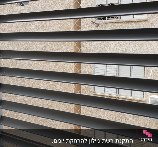 רשת נגד יונים מותקנת על חלון עם תריסים